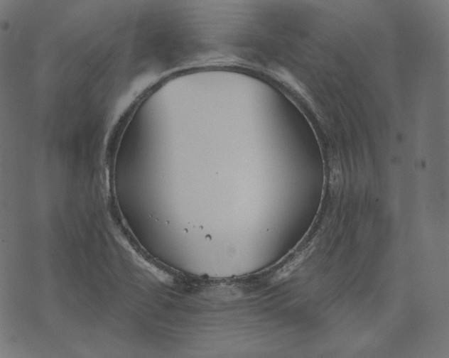 X0000070341414200606231521