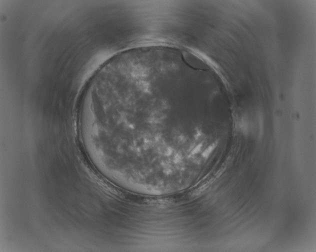 X0000070341415200606231521