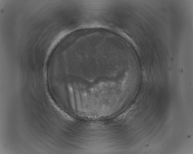 X0000070341416200606231521