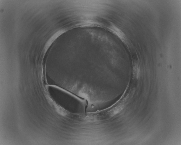 X0000070341418200606231521