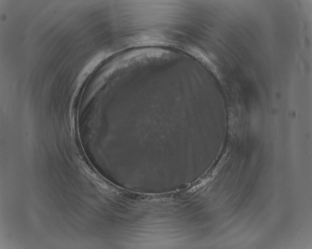 X0000070341419200606231521