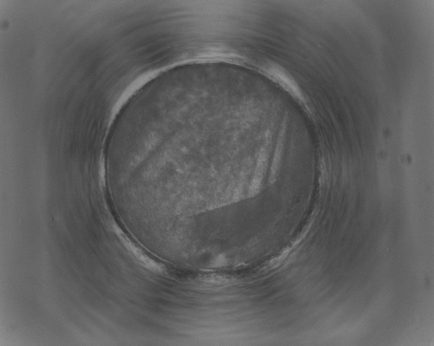 X0000070341420200606231521