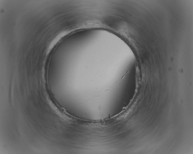 X0000070341422200606231521