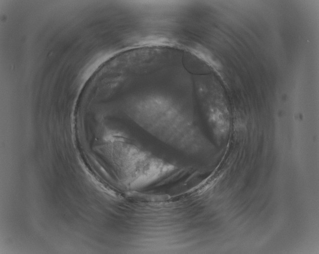 X0000070341423200606231521