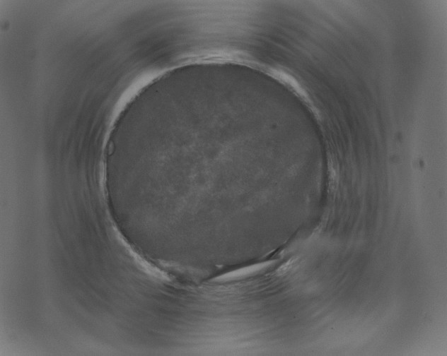 X0000070341424200606231521