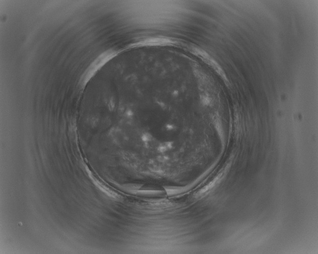 X0000070341425200606231521