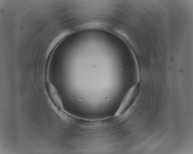 X0000070341426200606231521