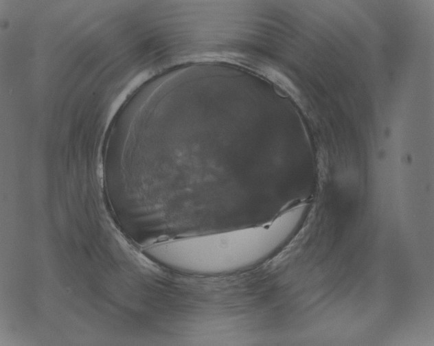 X0000070341428200606231521