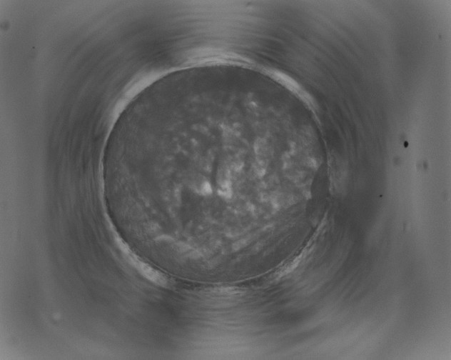 X0000070341431200606231521