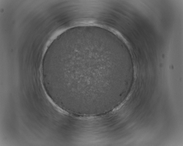 X0000070341432200606231521