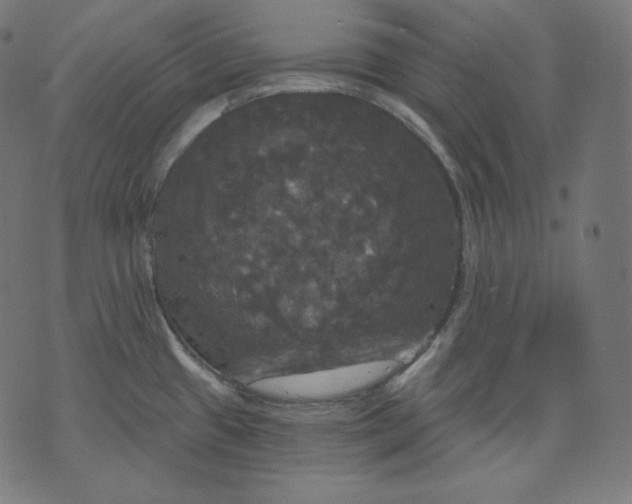 X0000070341433200606231521