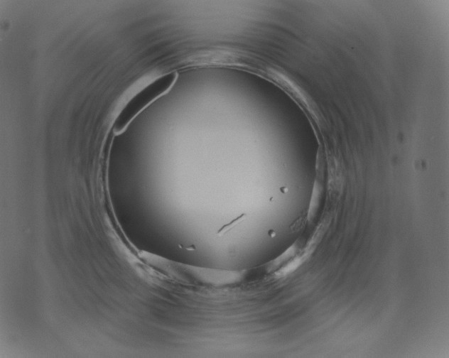 X0000070341434200606231521