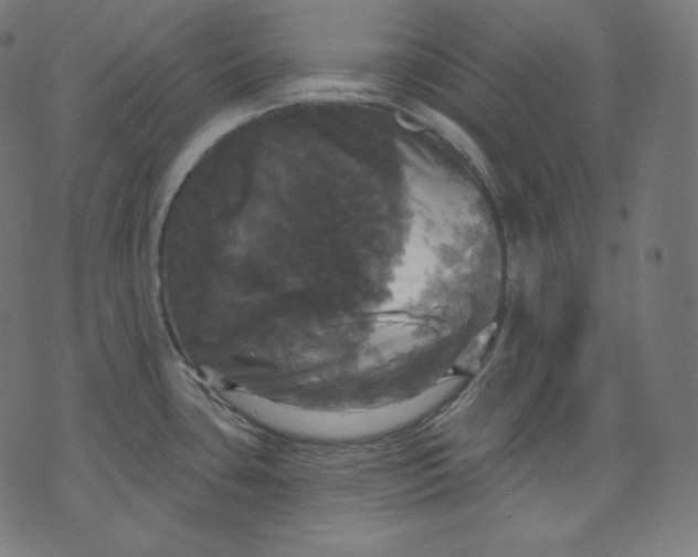 X0000070341435200606231521