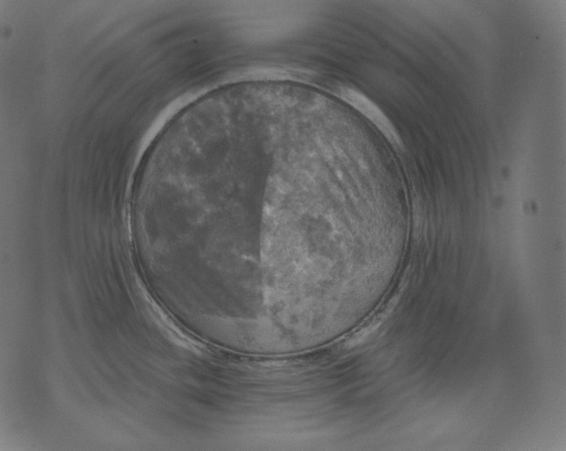 X0000070341436200606231521