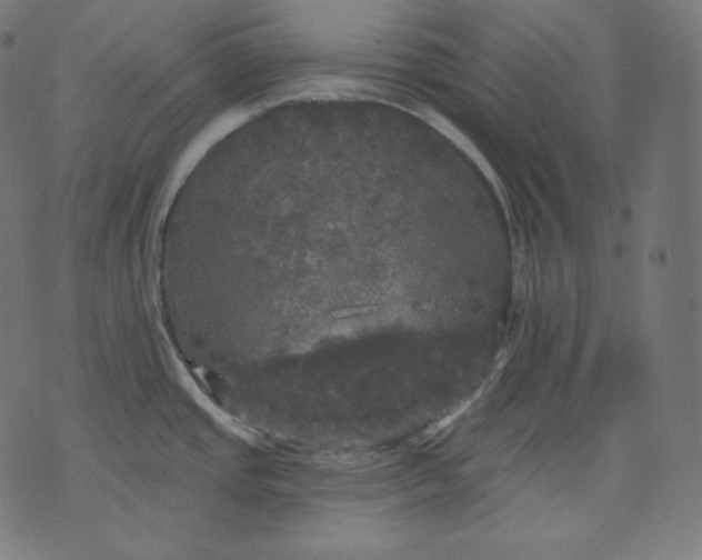 X0000070341437200606231521