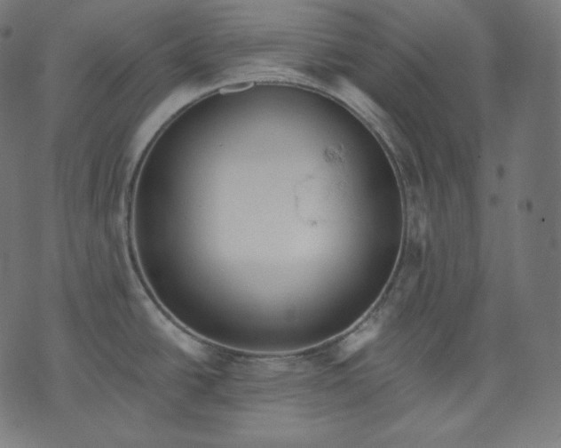 X0000070341438200606231521