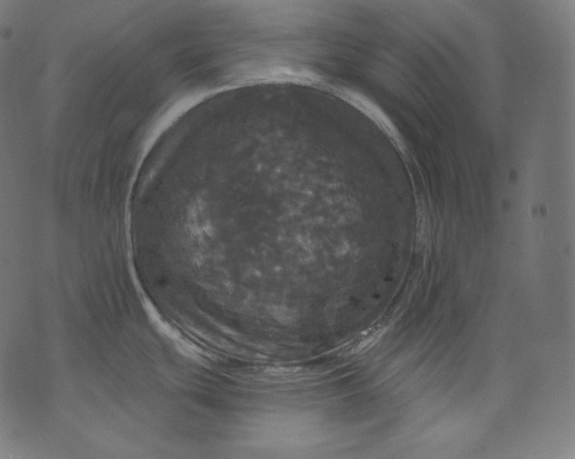 X0000070341439200606231521