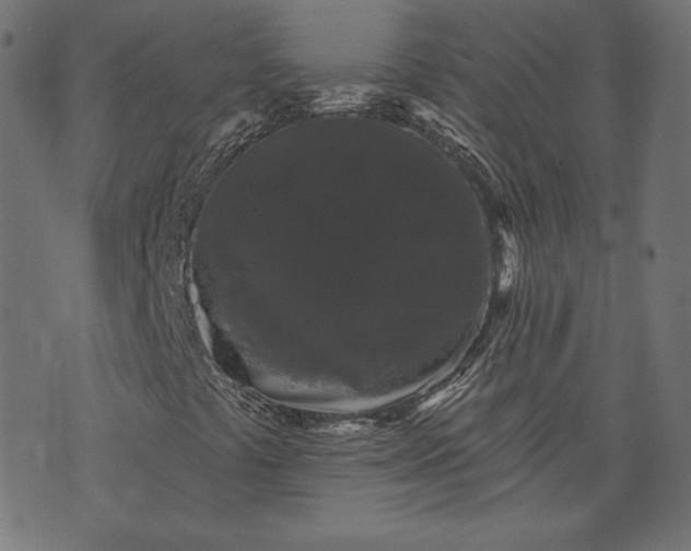 X0000070341441200606231520