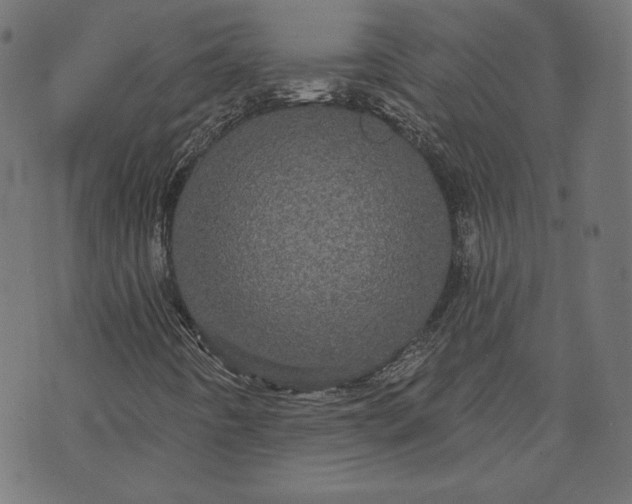 X0000070341442200606231520