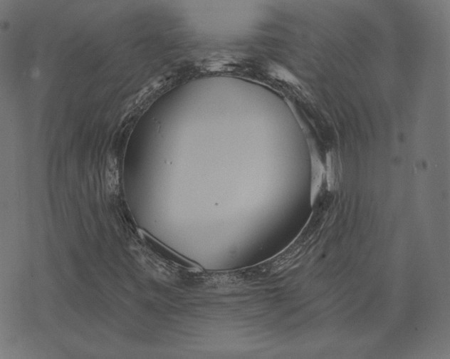 X0000070341443200606231520