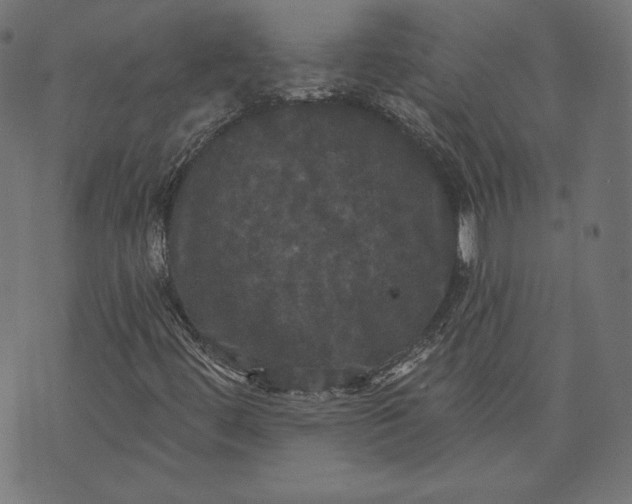 X0000070341444200606231520