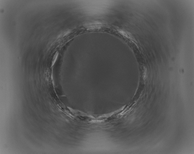 X0000070341445200606231520