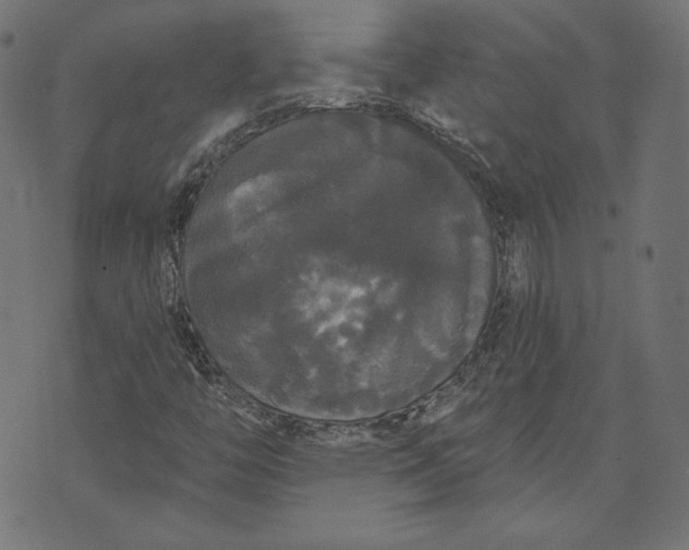 X0000070341446200606231520