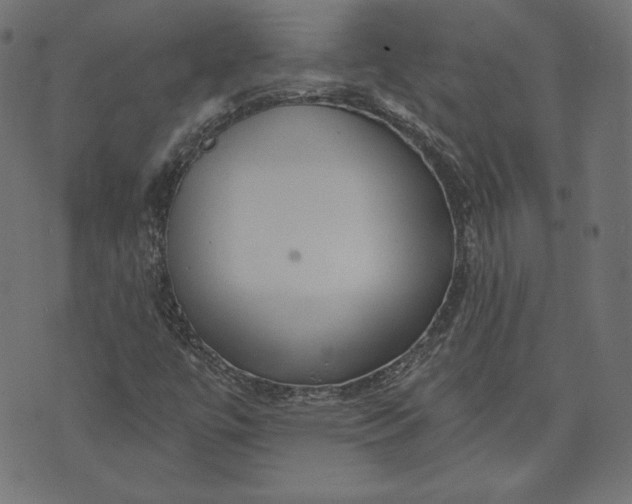 X0000070341447200606231520