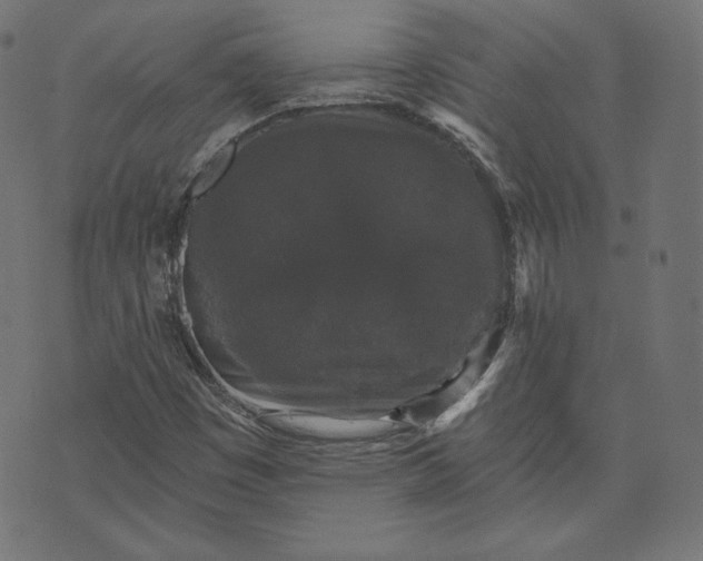 X0000070341449200606231520