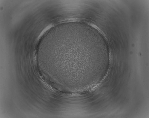 X0000070341450200606231520