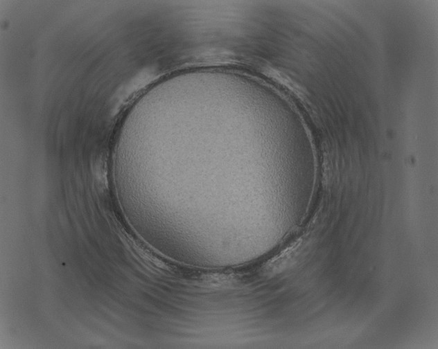 X0000070341451200606231520