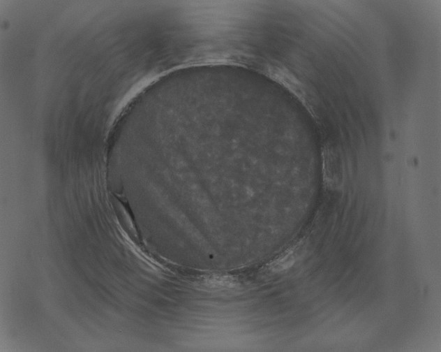 X0000070341452200606231520