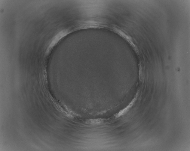 X0000070341453200606231520