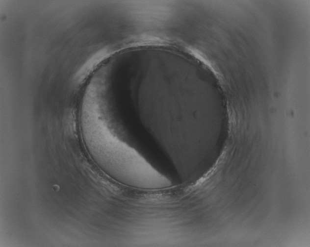 X0000070341455200606231520