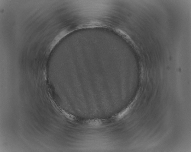 X0000070341457200606231520