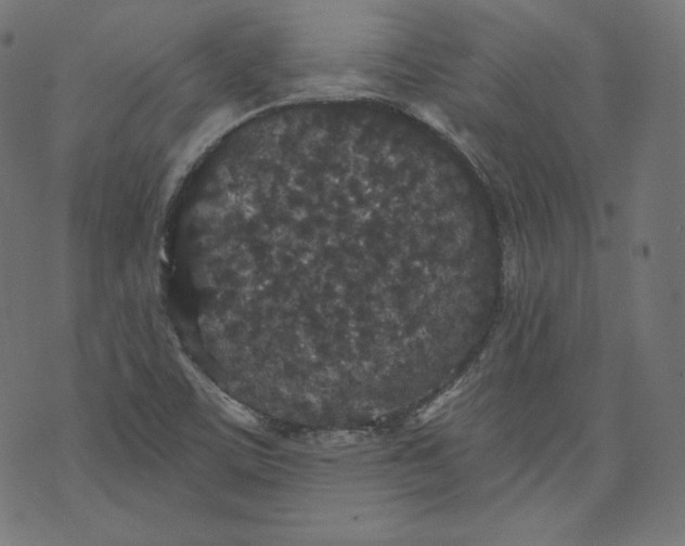 X0000070341459200606231520