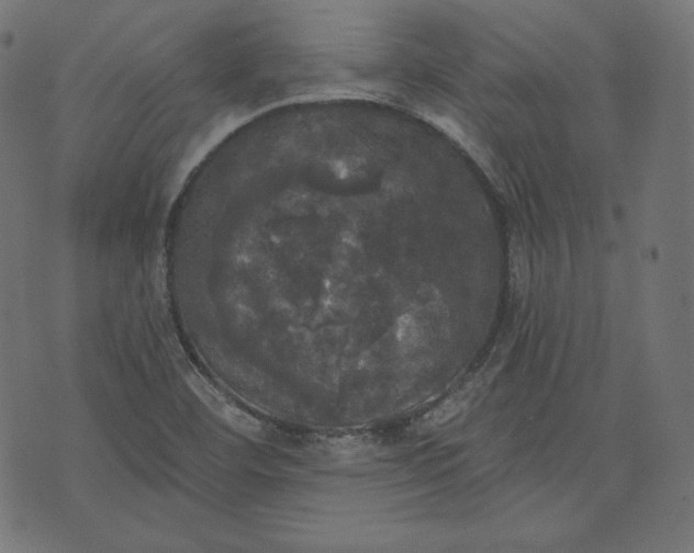 X0000070341460200606231520