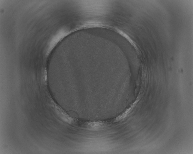 X0000070341461200606231520