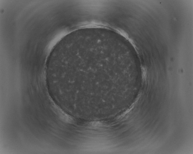 X0000070341463200606231520