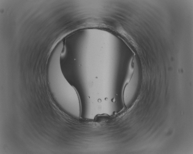 X0000070341465200606231520