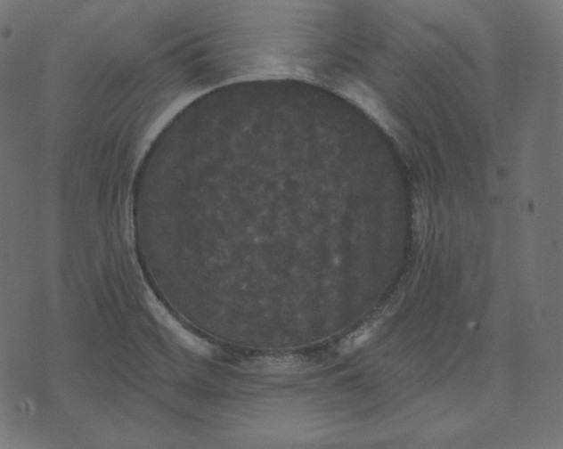 X0000070341468200606231520