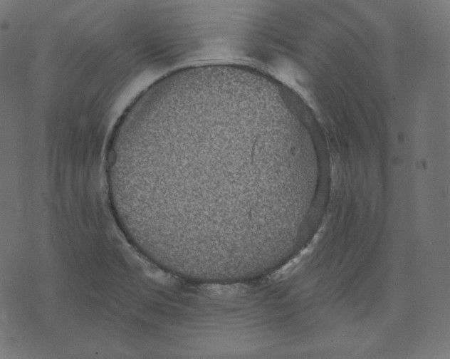 X0000070341469200606231520