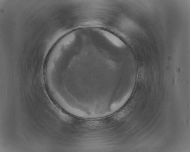 X0000070341470200606231520