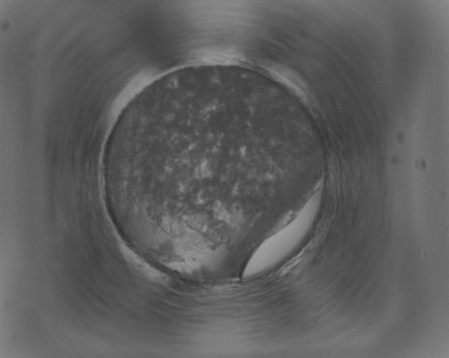 X0000070341471200606231520