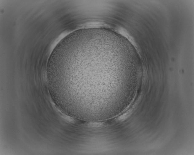 X0000070341473200606231520