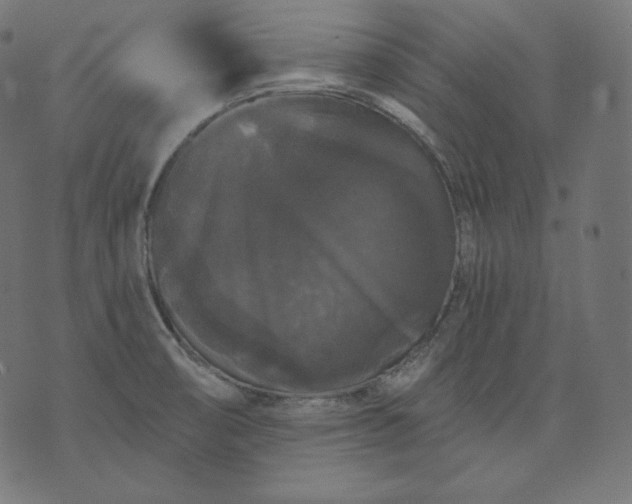 X0000070341474200606231520