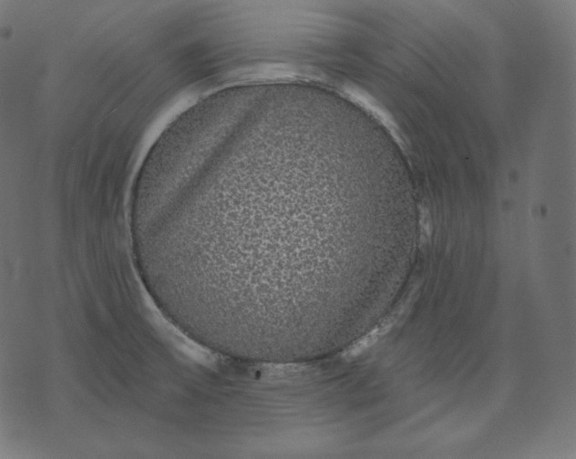 X0000070341475200606231520