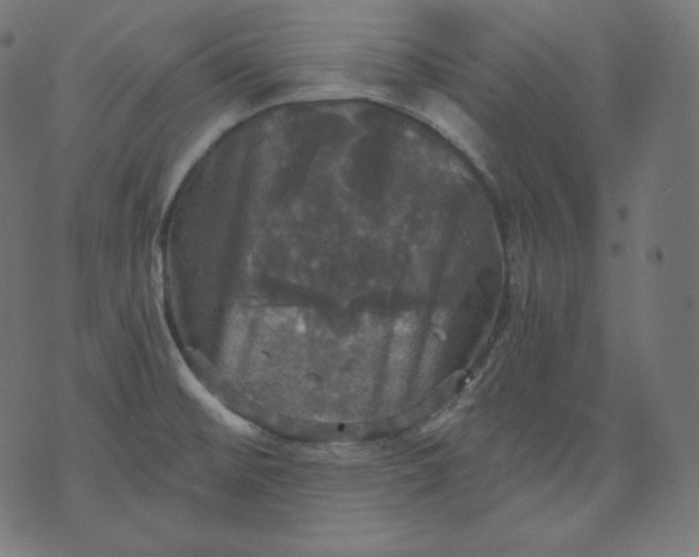 X0000070341476200606231520