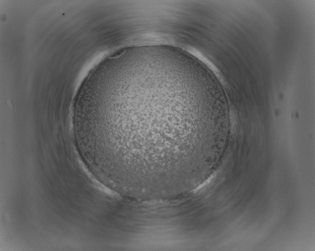 X0000070341477200606231520