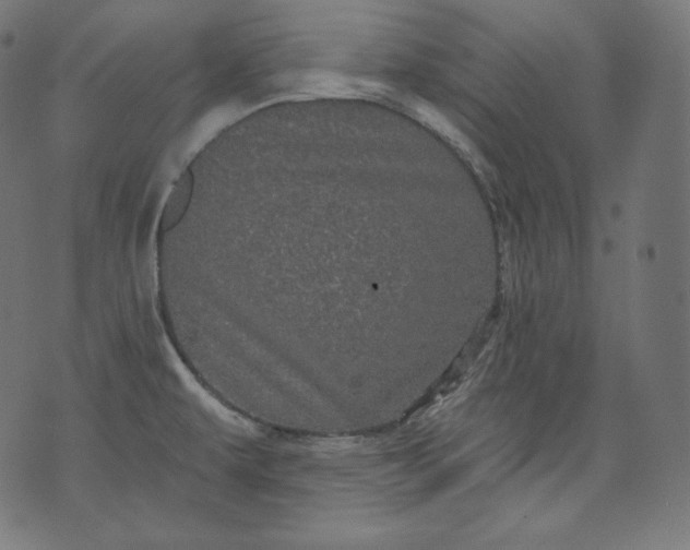 X0000070341479200606231520